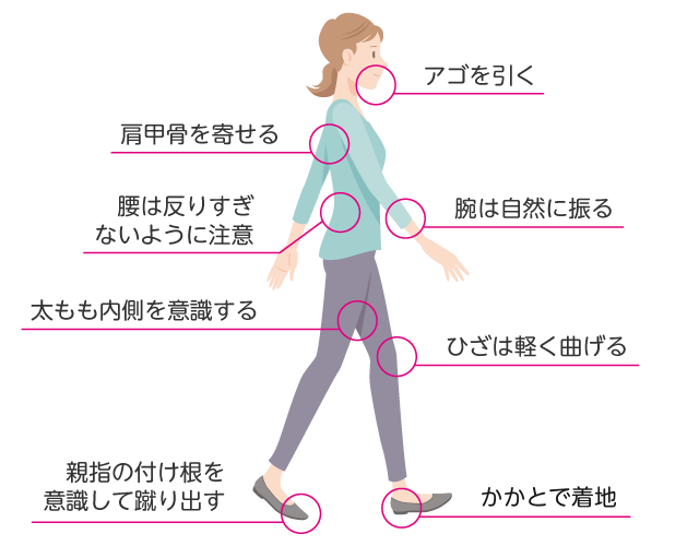 普段歩きの正しい姿勢